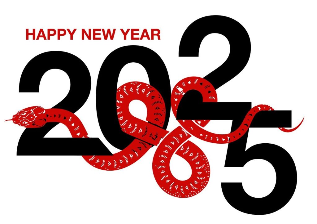 Meilleurs Voeux 2025 !