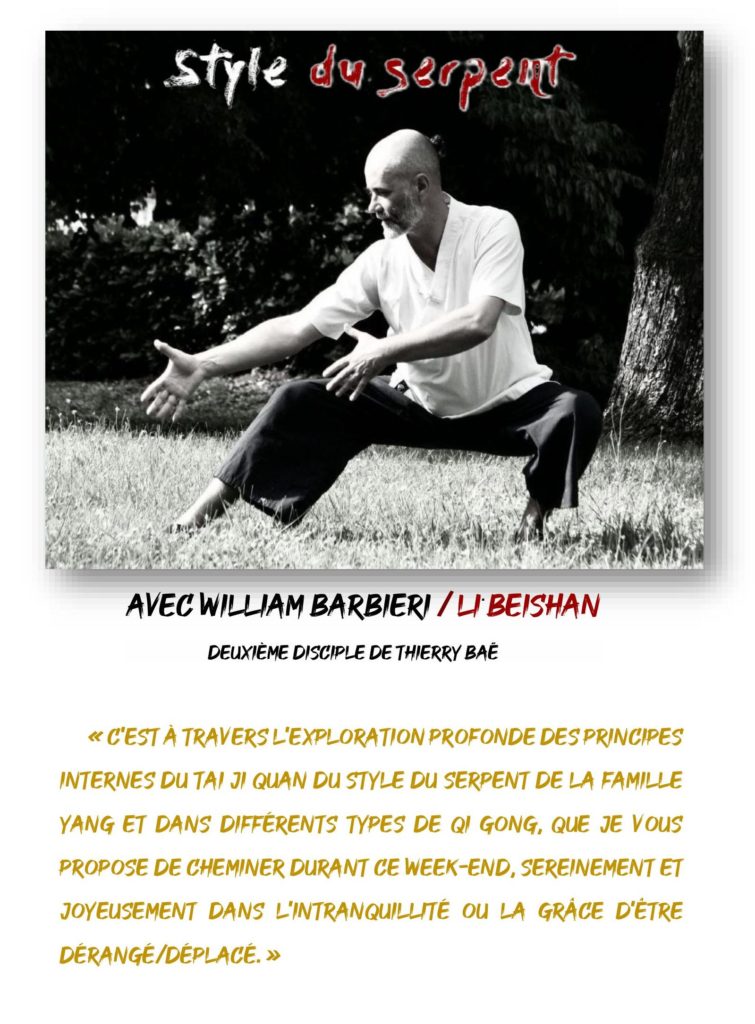 affiche stage Snake NOV 2025 extrait