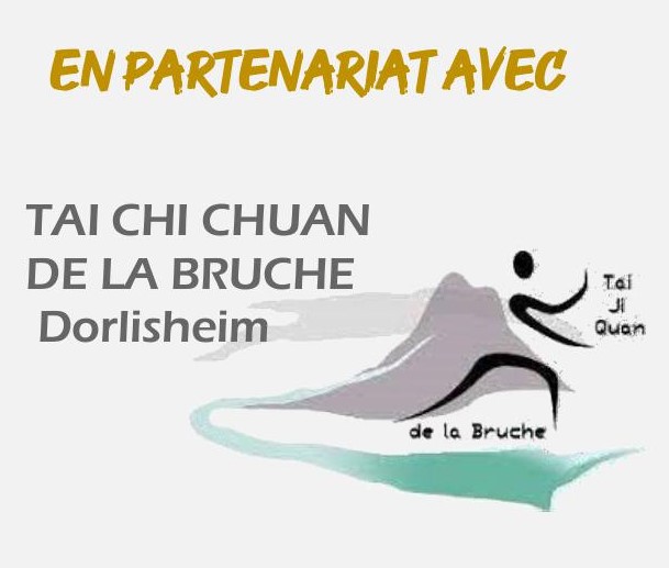 extrait stage Snake NOV 2025_1