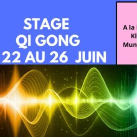 22-26 juin 2026 : stage d&rsquo;été Qi Gong, par Eric Bey